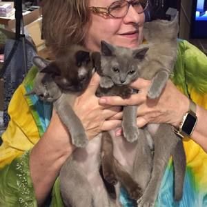 Meet your Posher, Elaine